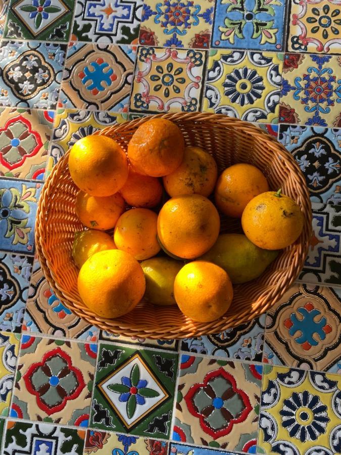 Villa Vita أوريا المظهر الخارجي الصورة