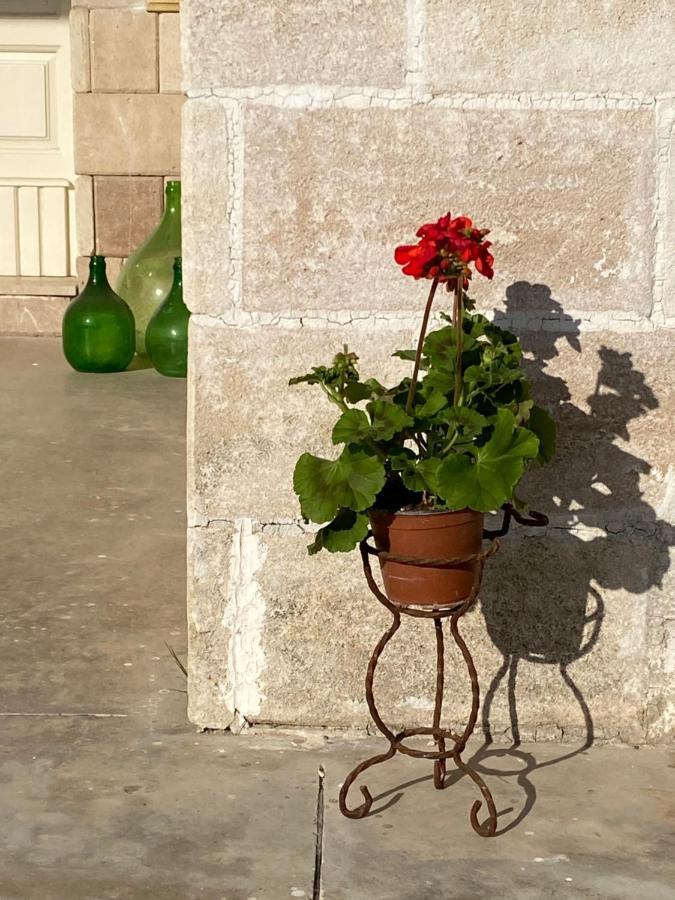 Villa Vita أوريا المظهر الخارجي الصورة